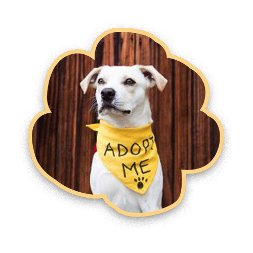 FROGGY'S PHILANTHROPY